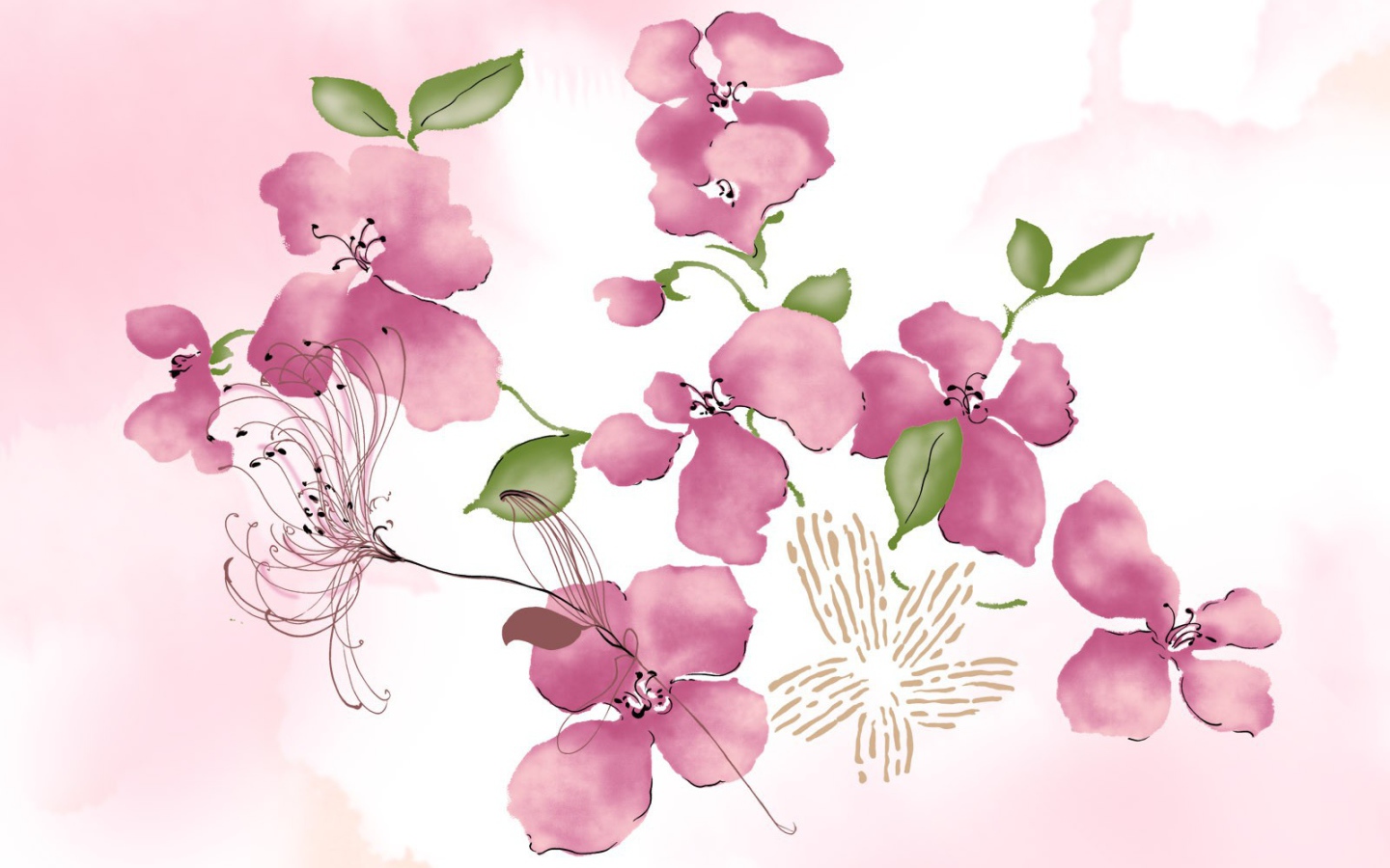 Розовые цветы на белом фоне