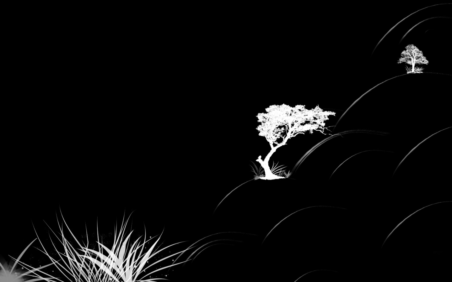 Растительность на черных обоях