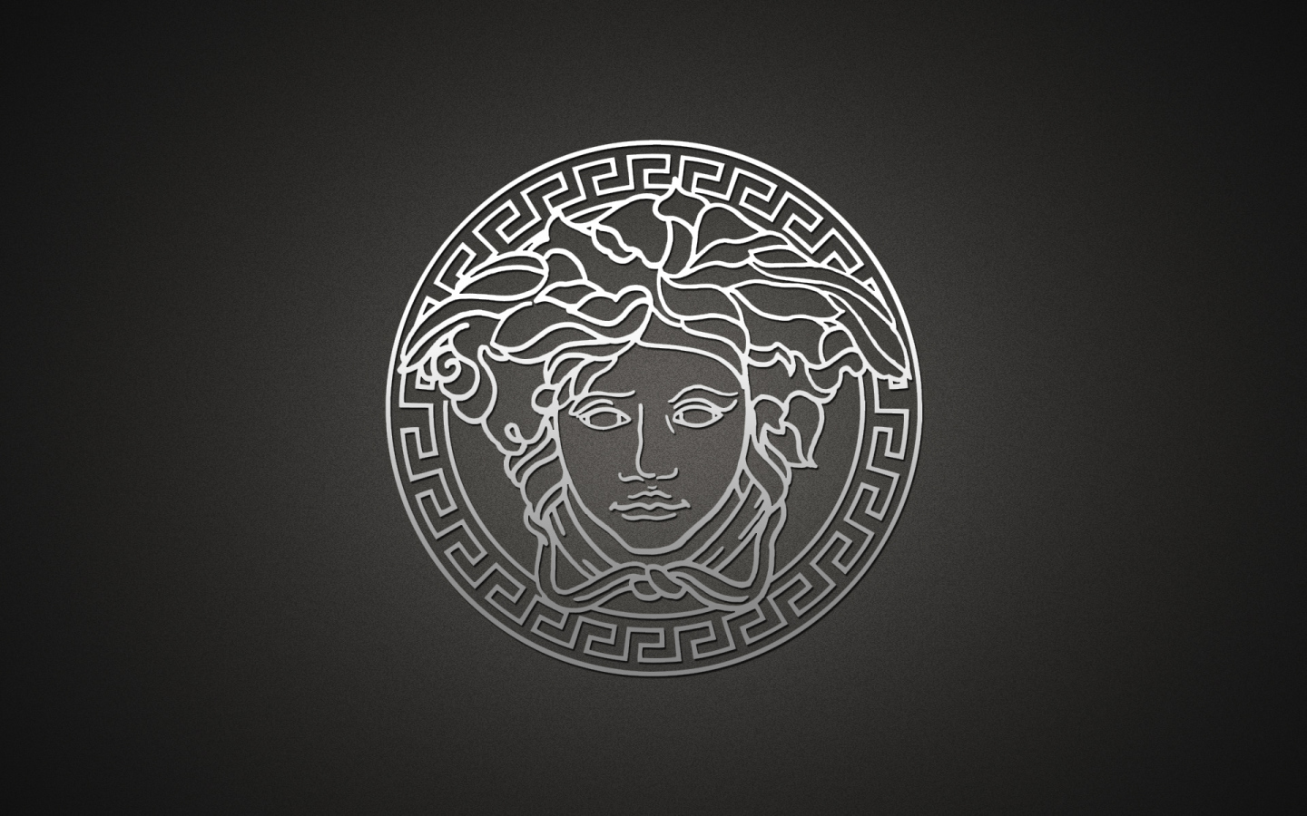 Серый логотип Versace