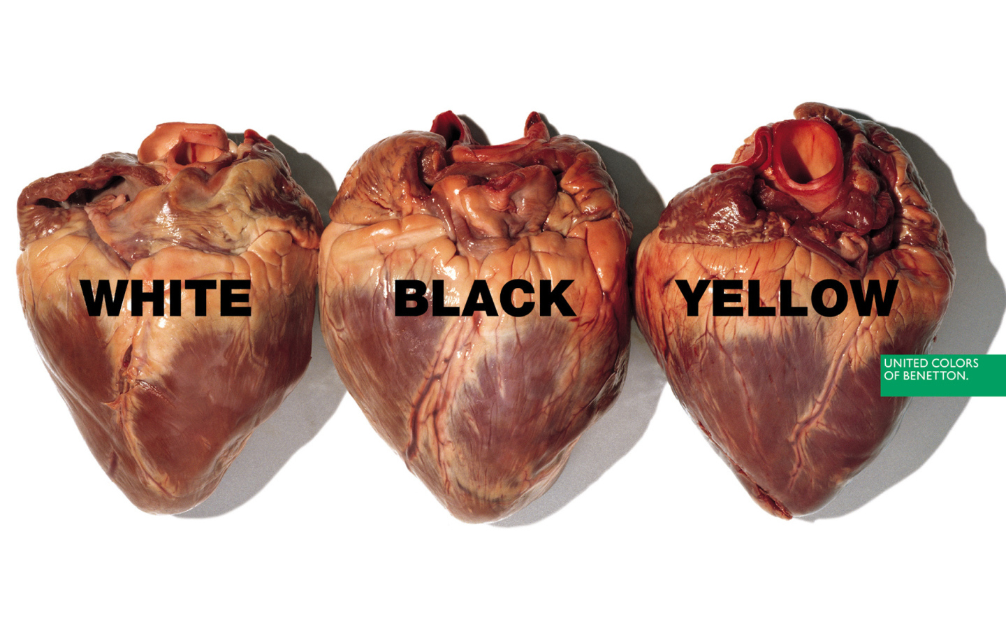 Скандальная реклама Benetton