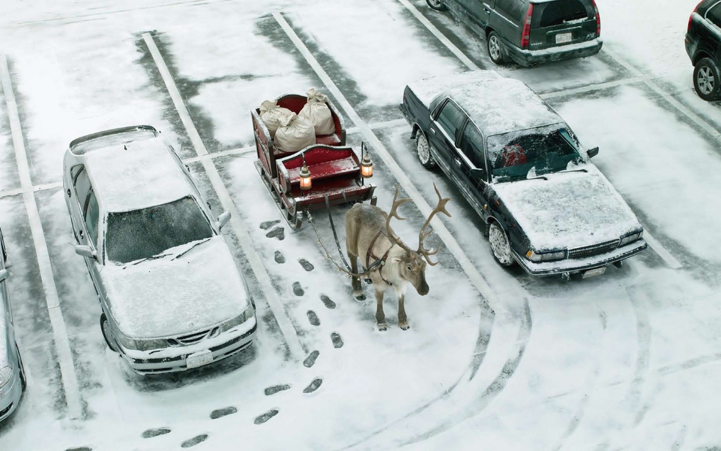 Рождественский транспорт