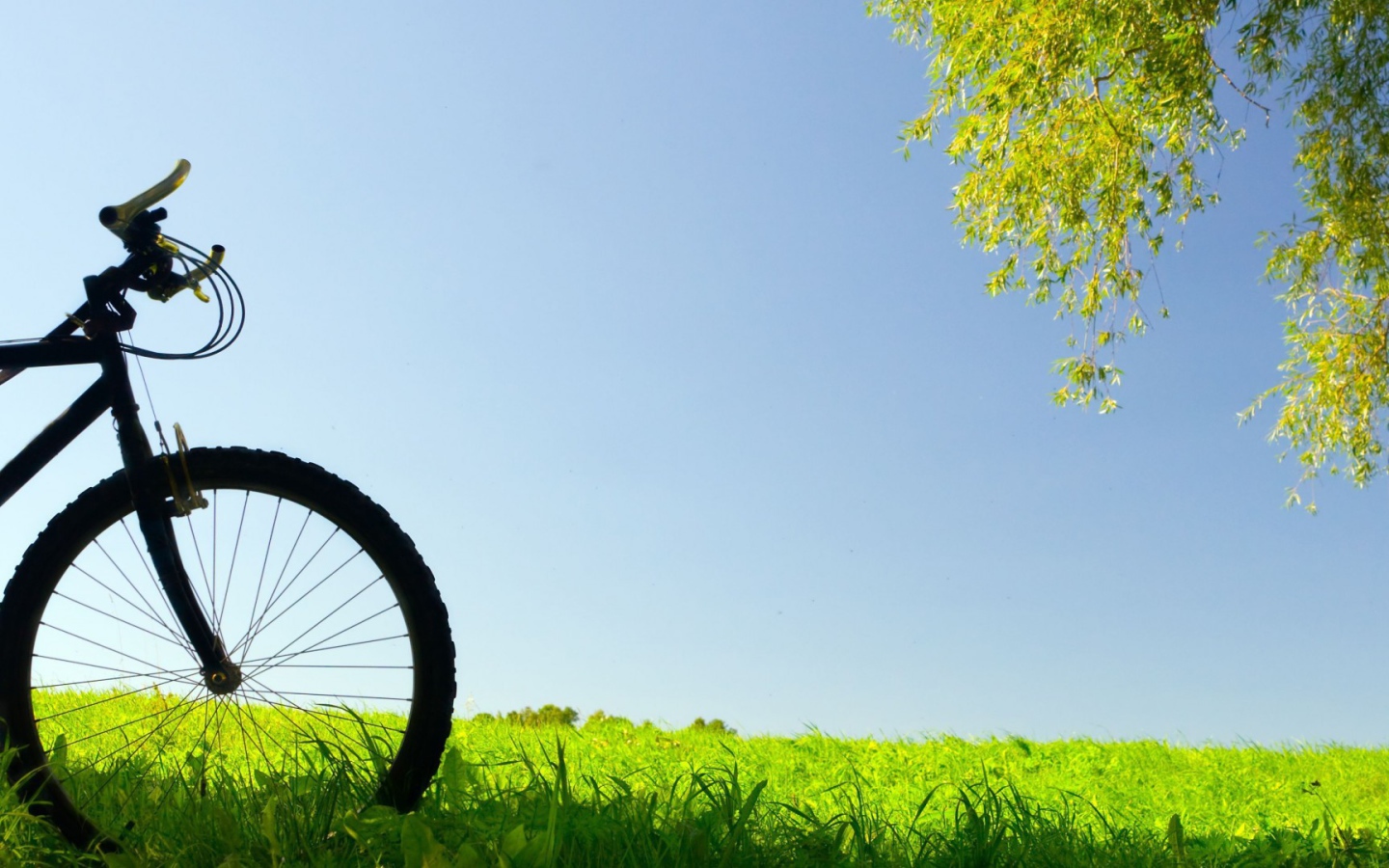 Велосипед в поле