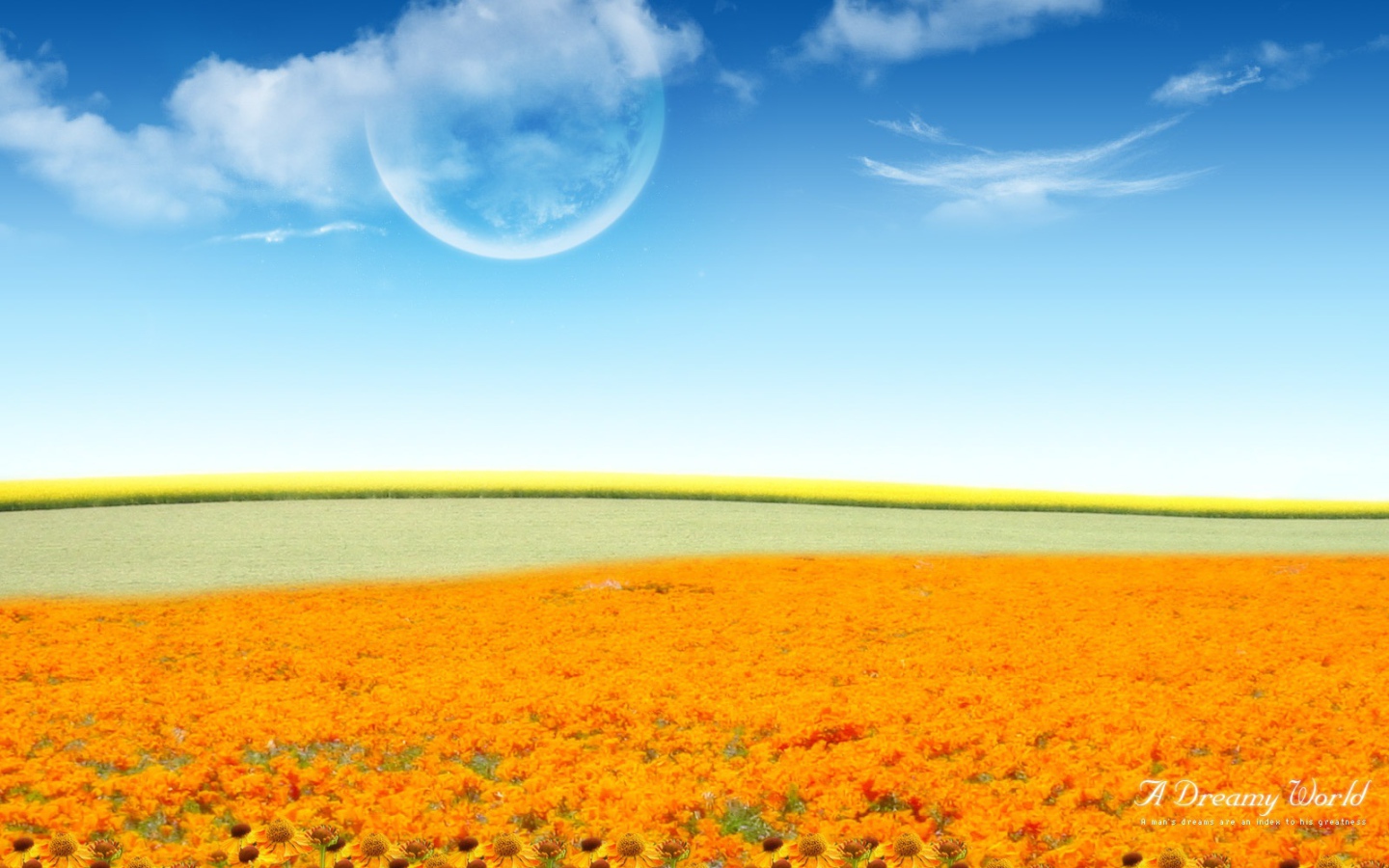 Фантастический мир цветов