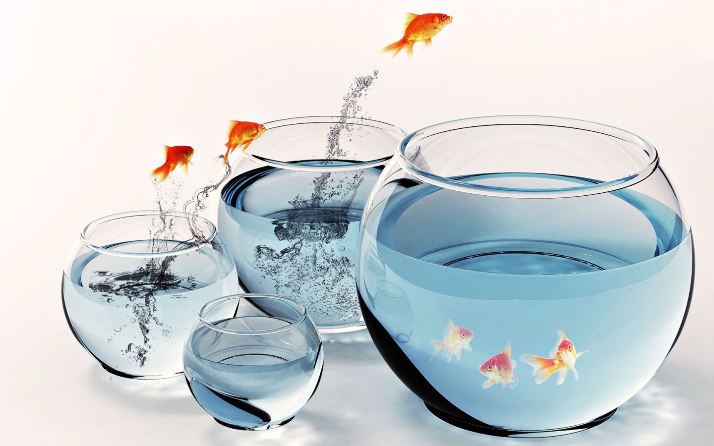 Рыбы и аквариумы