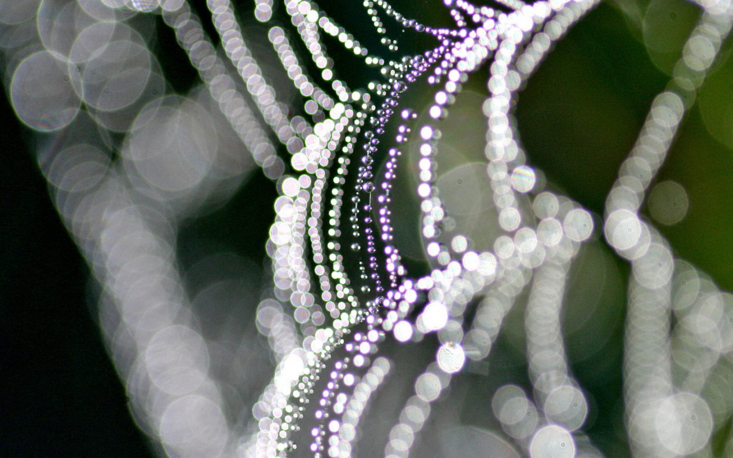 На паутине бусинки росы