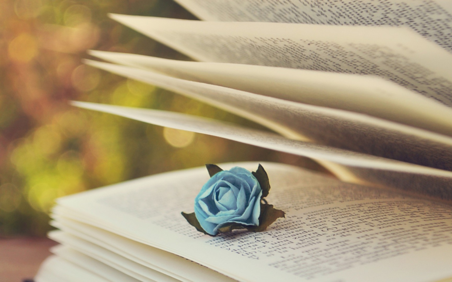 Роза в книге