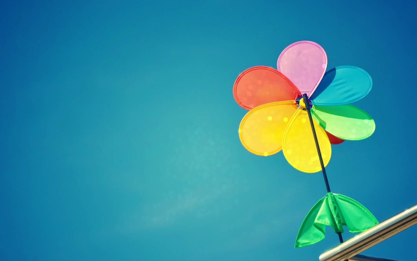 Cемицветик с листом