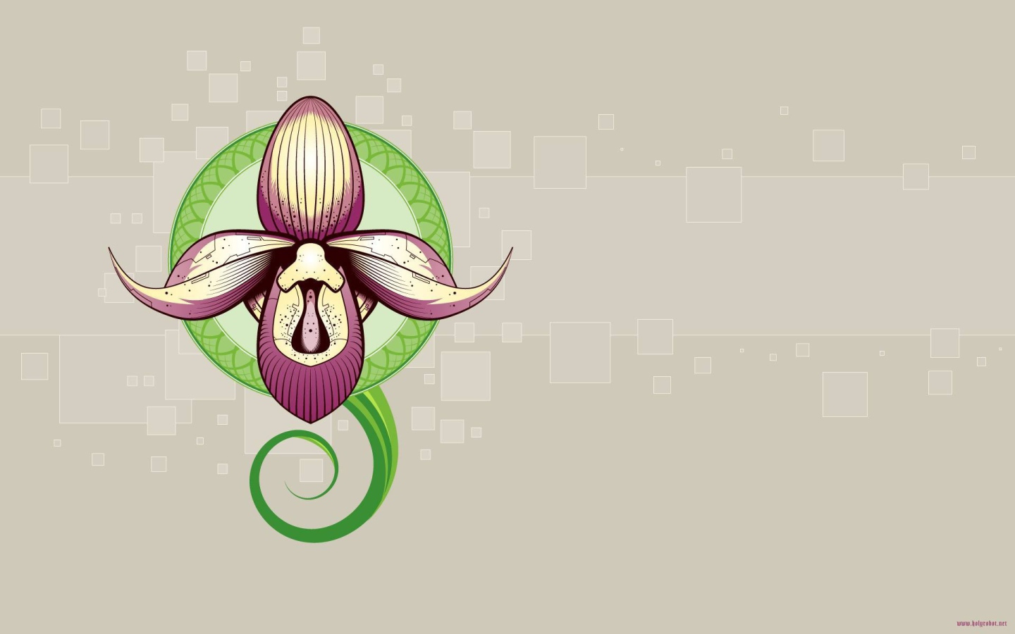 Рисунок орхидеи