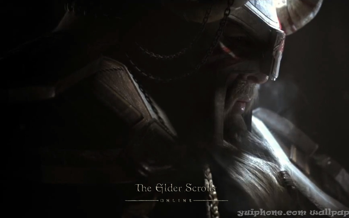 Закаленный в боях викинг