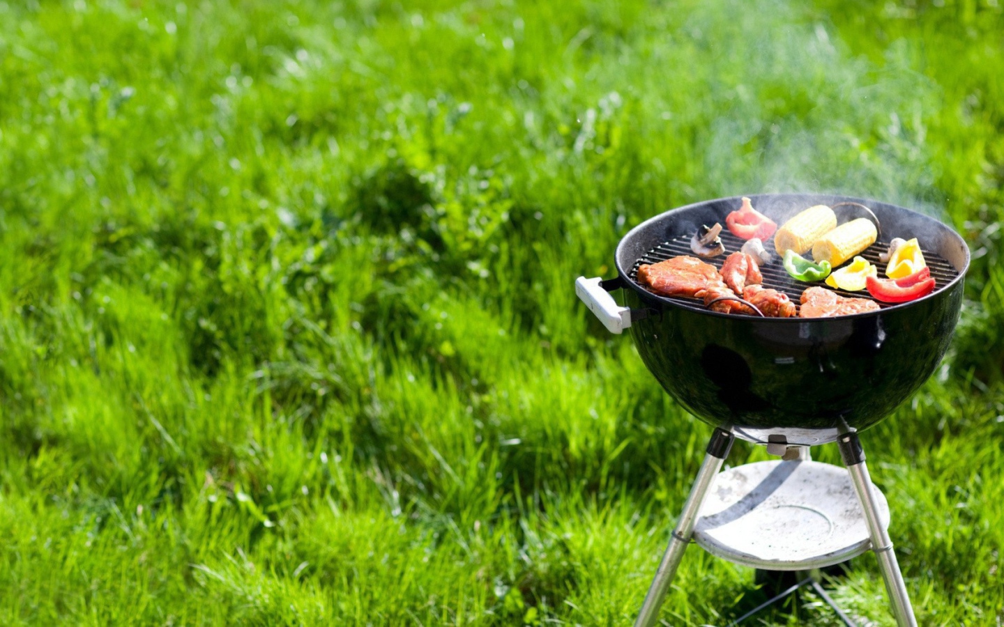 Барбекю гриль на природе