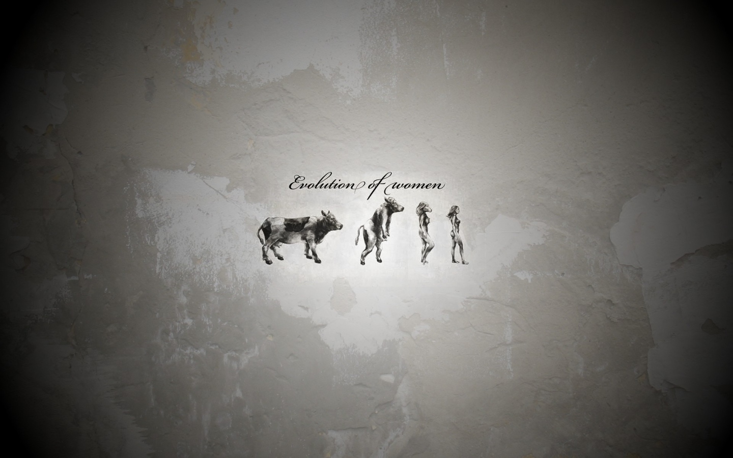 Эволюция женщины