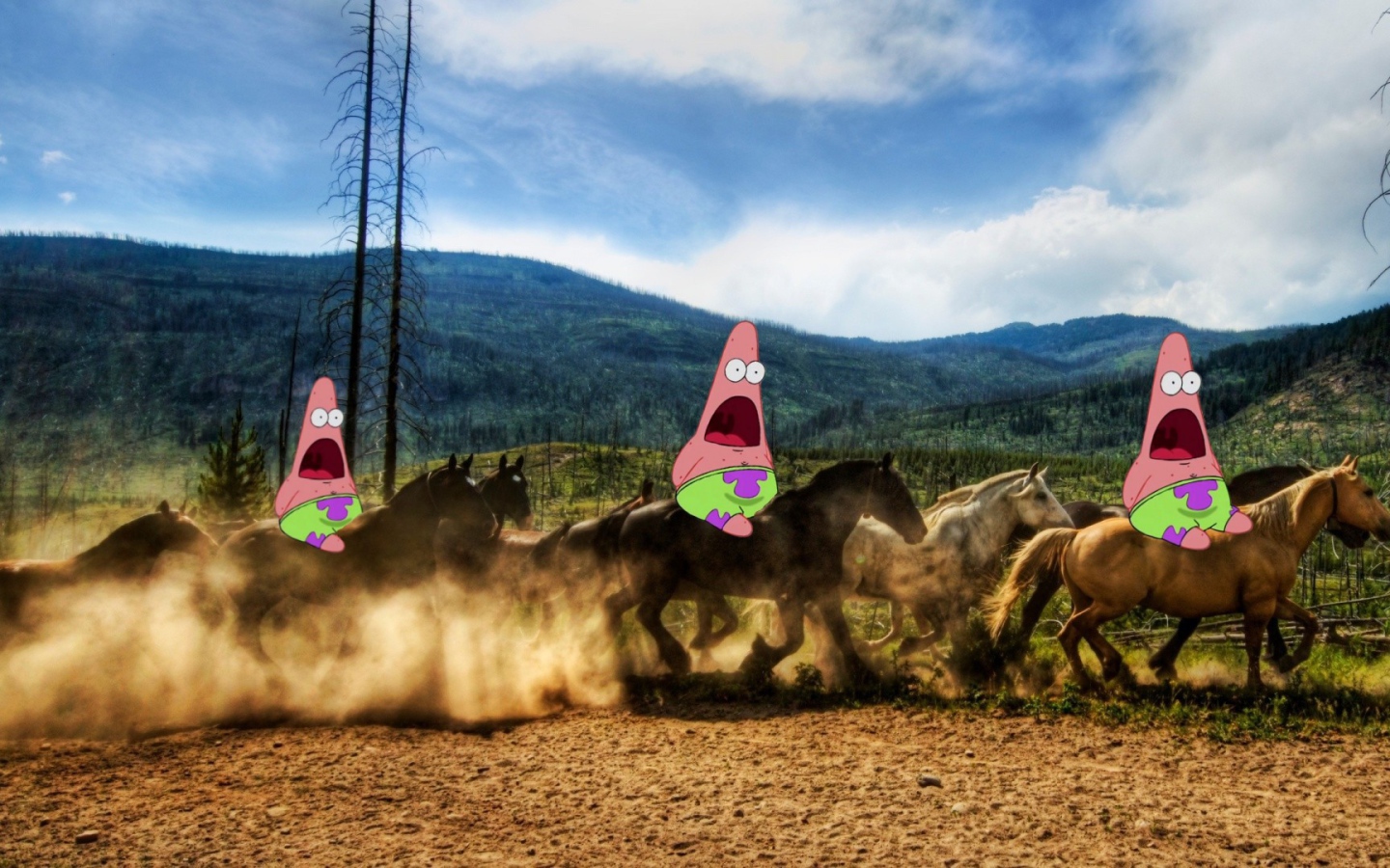 Патрик на лошадях