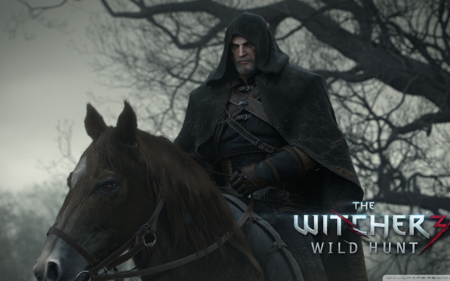 Всадник из игры Ведьмак