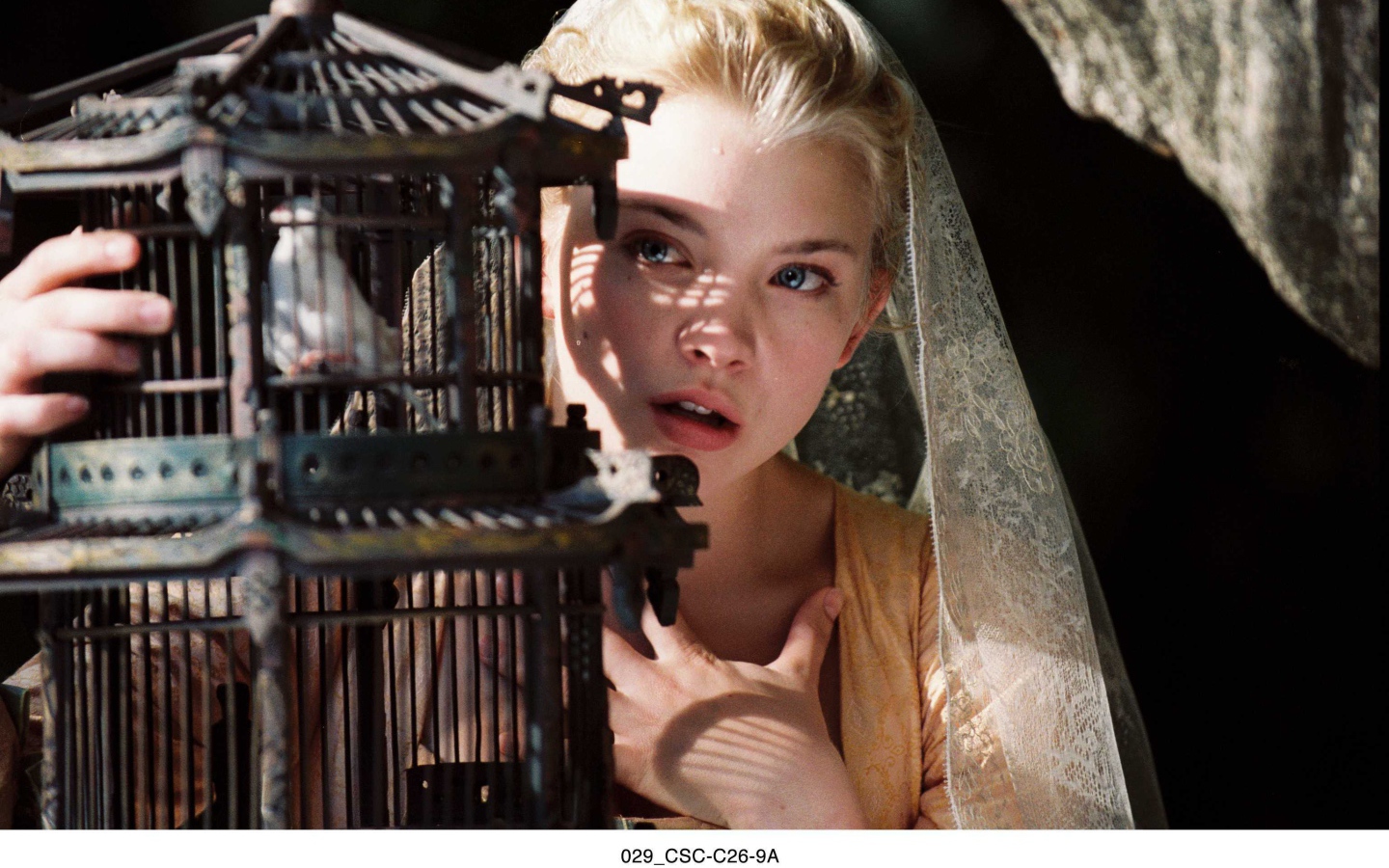 Популярная Натали Дормер