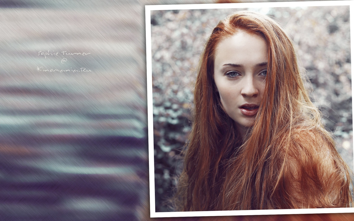 Популярная супермодель Софи Тернер