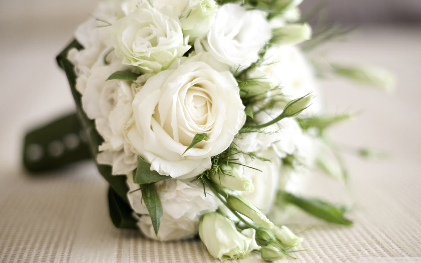 Красивые белые розы в подарок женщинам на восьмое марта