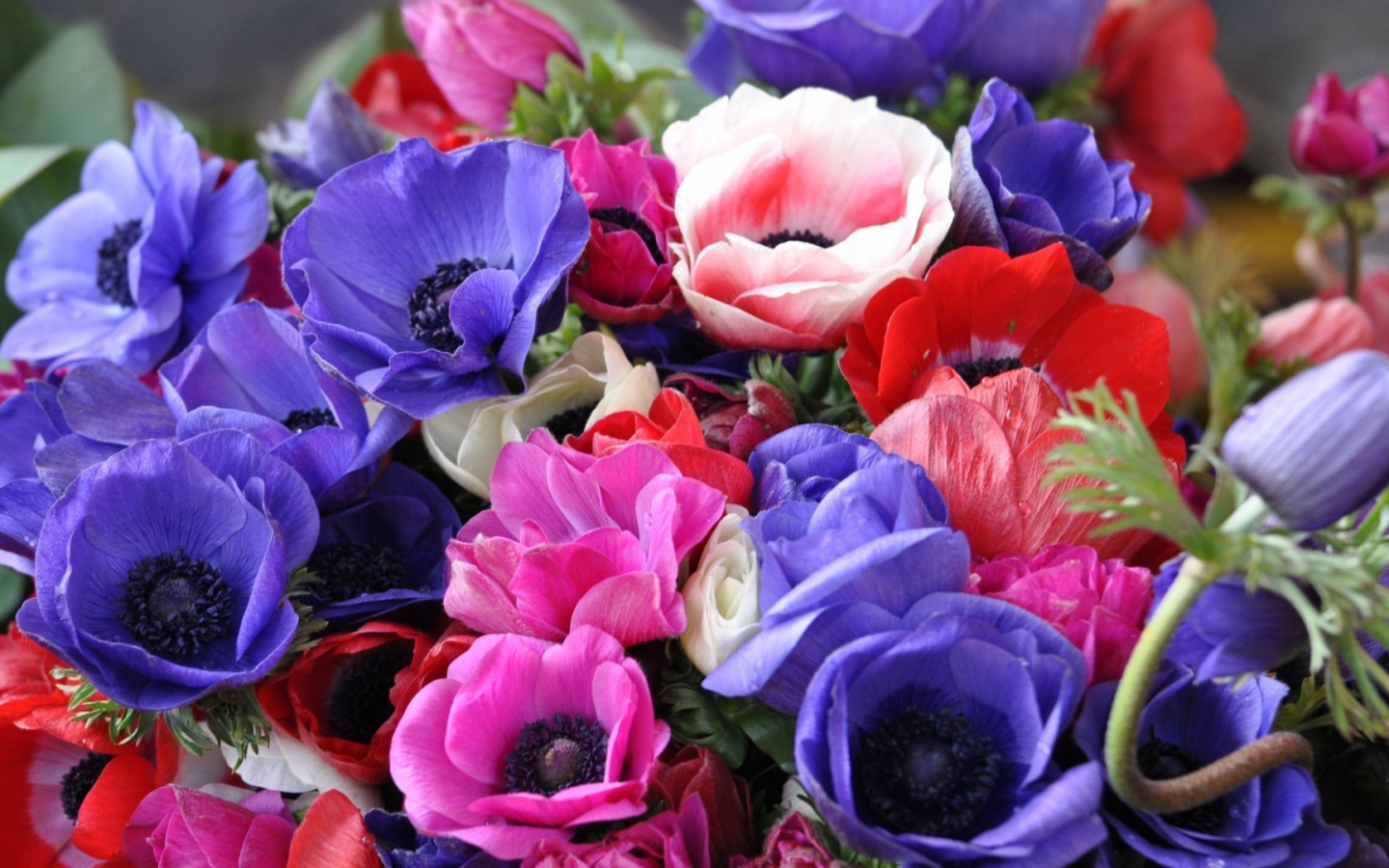 Яркий букет на восьмое марта