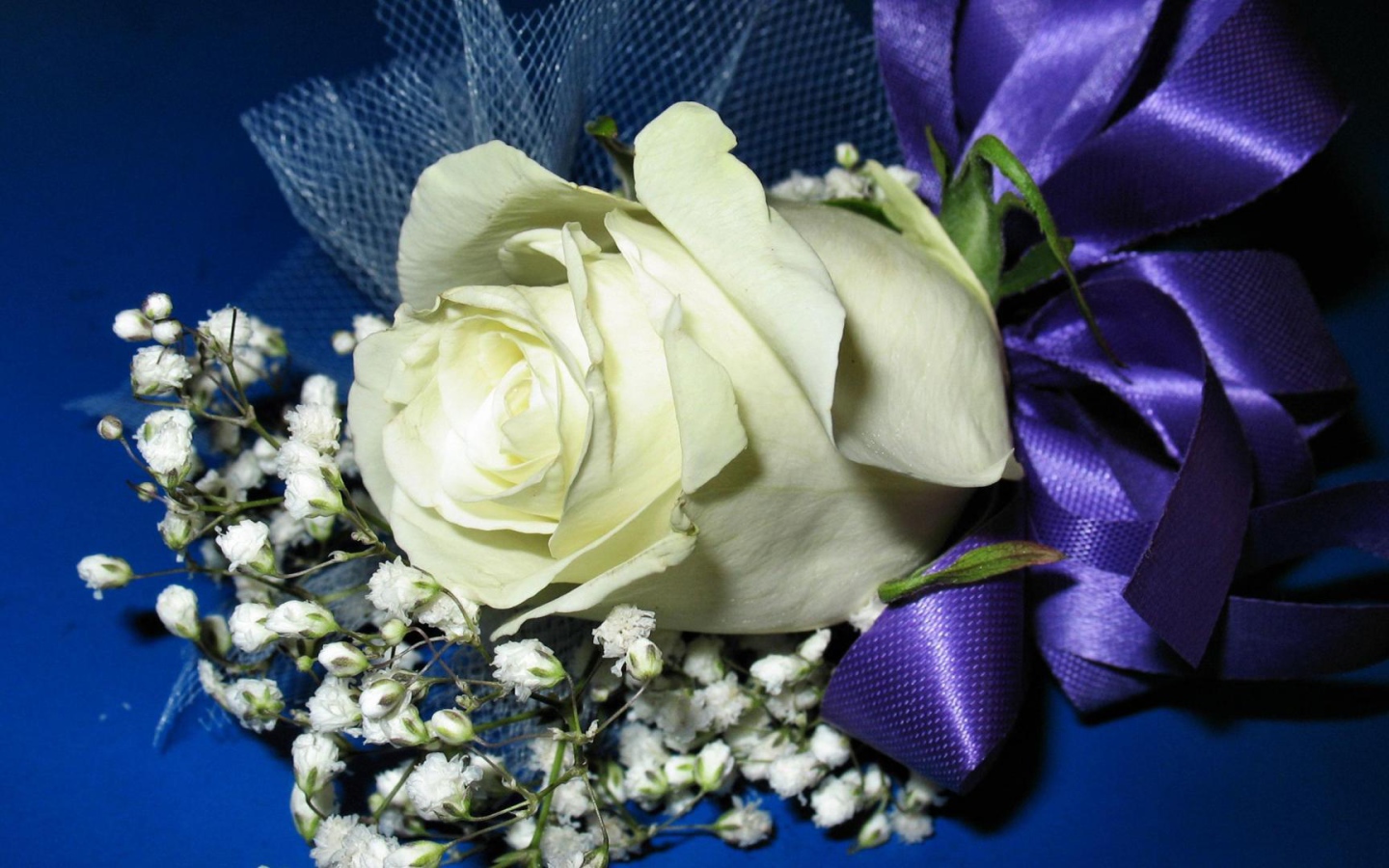 Украшенная белая роза на синем фоне в подарок на восьмое марта