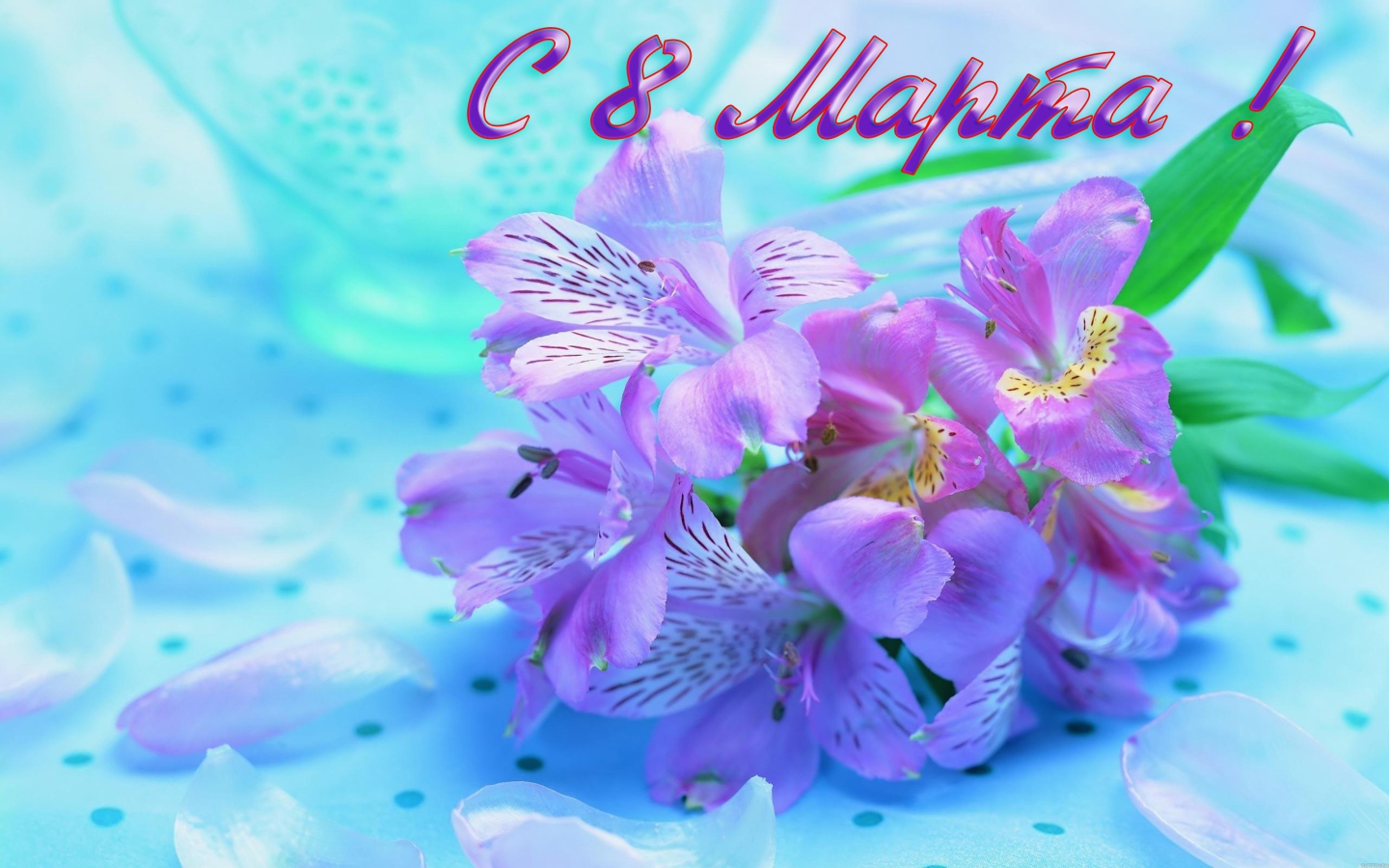Сиреневые цветы на 8 марта