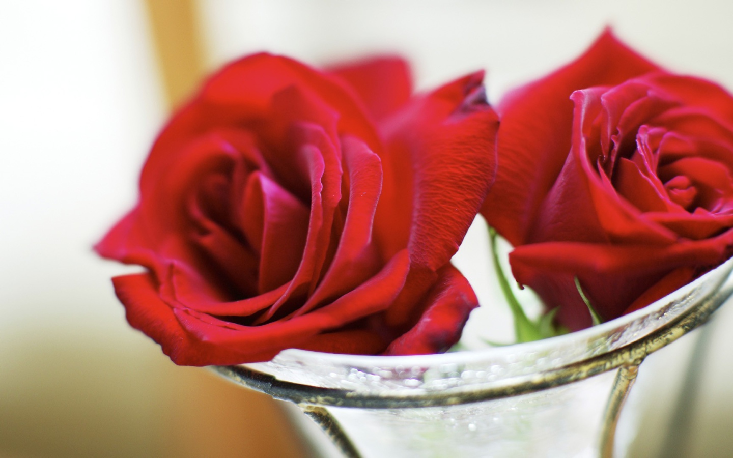Красные розы в стеклянной вазе на восьмое марта