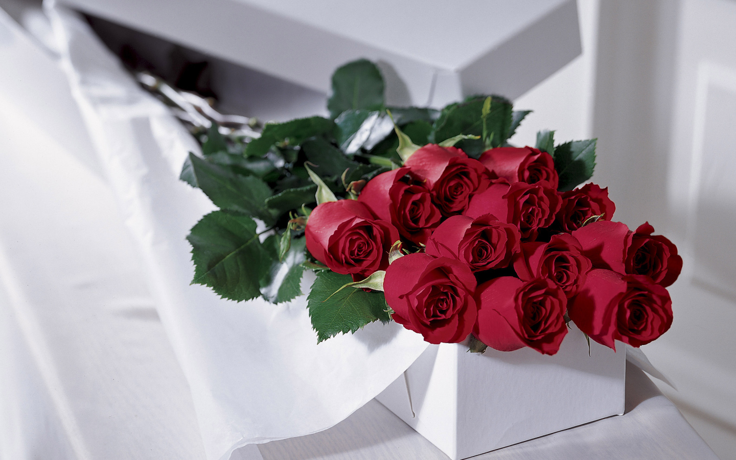 Красные розы на 8 марта в белой коробке