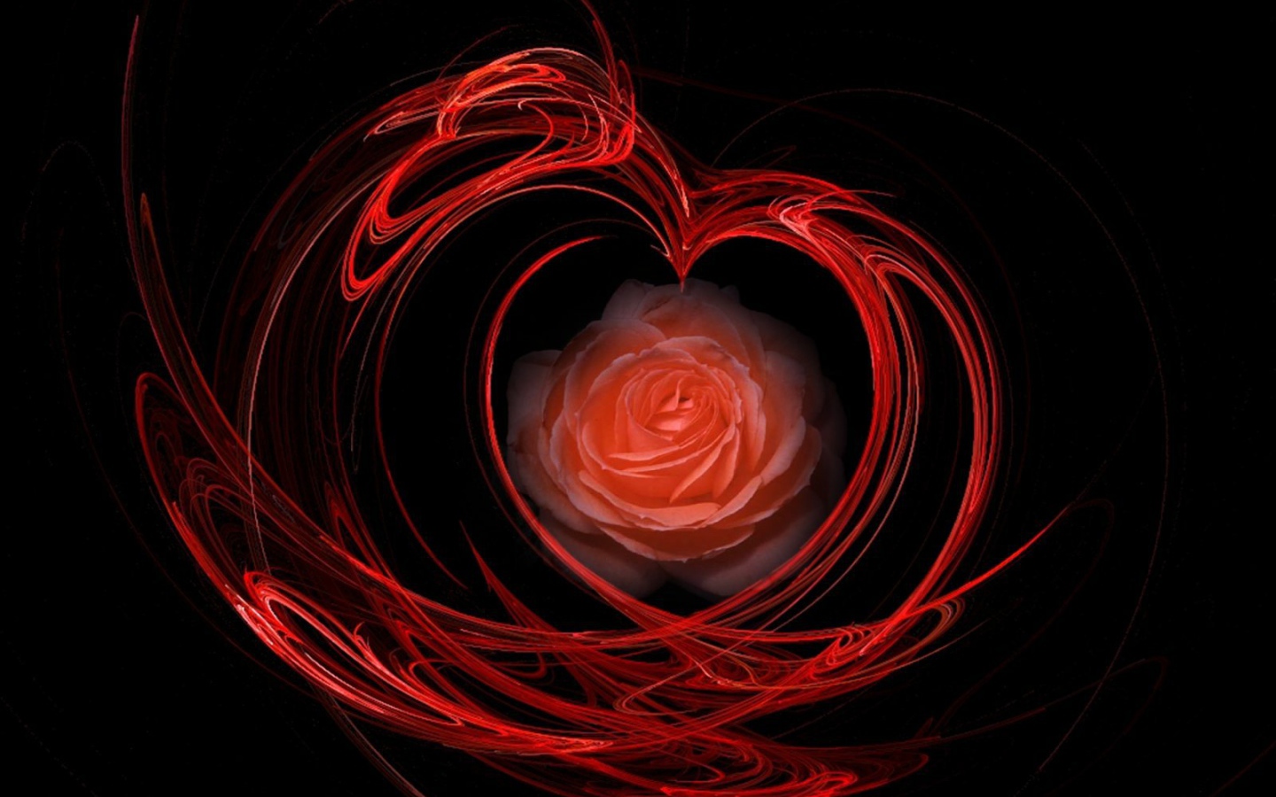 Огненная роза на День Святого Валентина 14 февраля