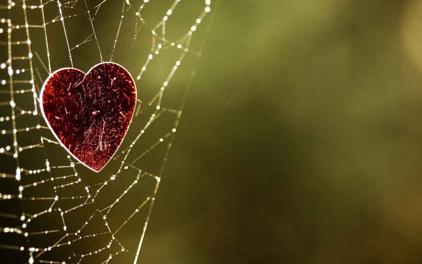 Сердечко на паутине