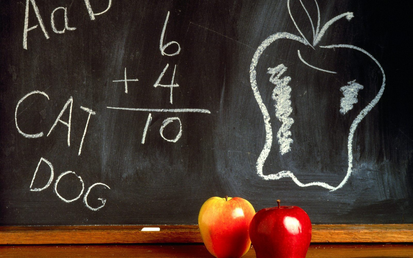 Writing on the blackboard in the Knowledge Day on September 1