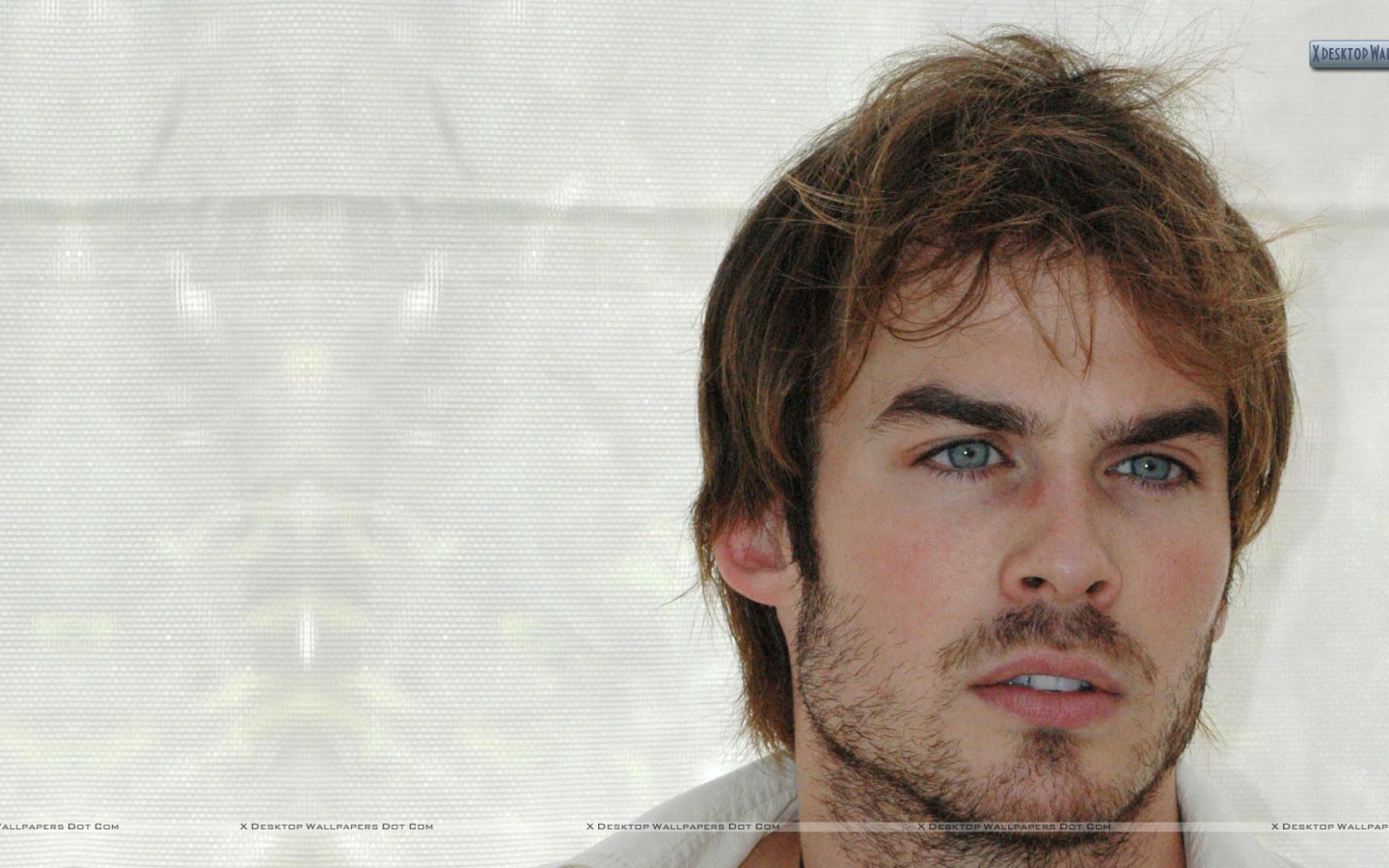 Кинозвезда Йен Сомерхолдер