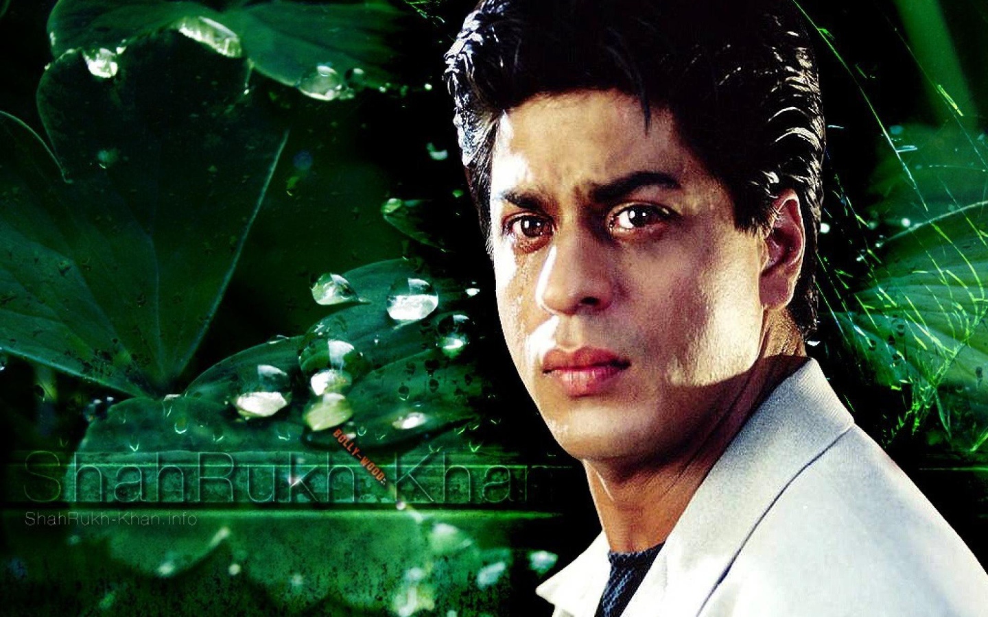 Популярный Актер Шахрукх Кхан