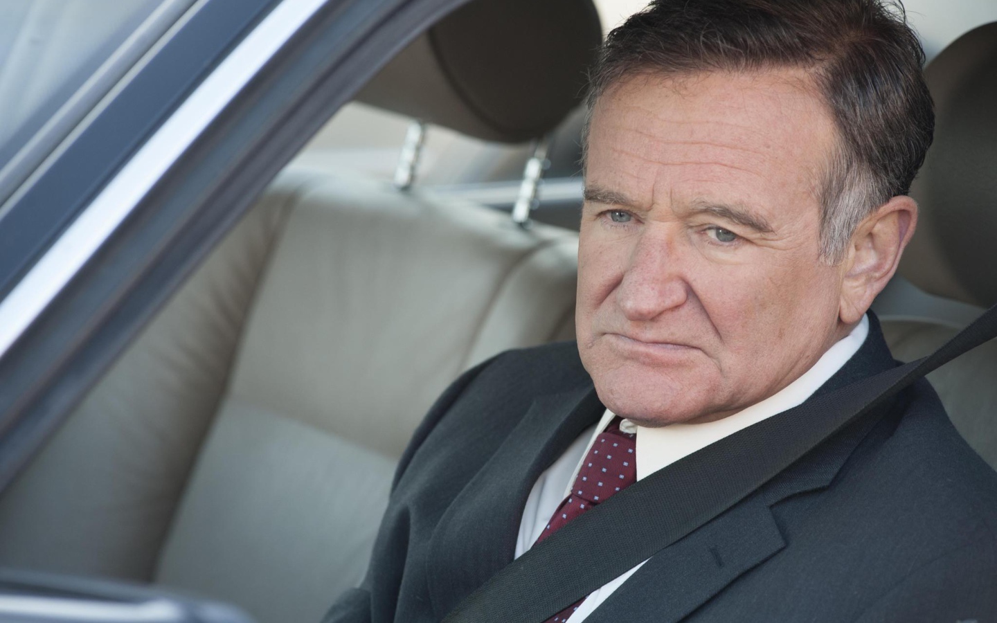 Робин Уильямс за рулем автомобиля