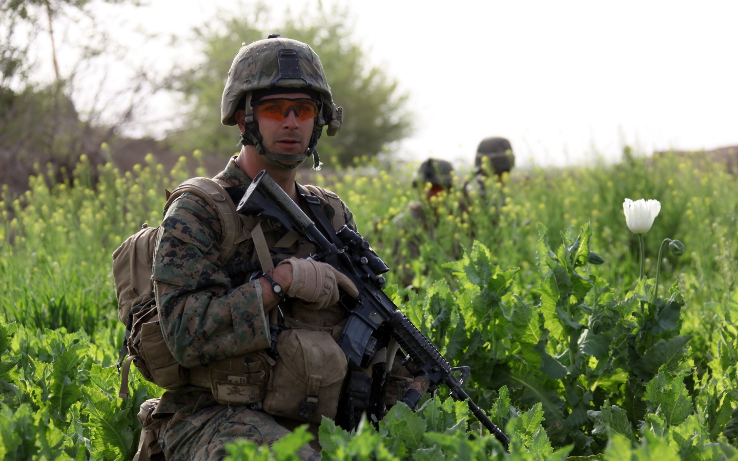 Солдат с винтовкой в траве