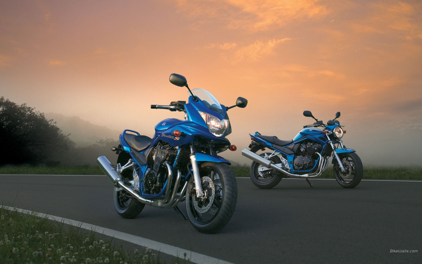 Быстрый мотоцикл Suzuki GSF 650