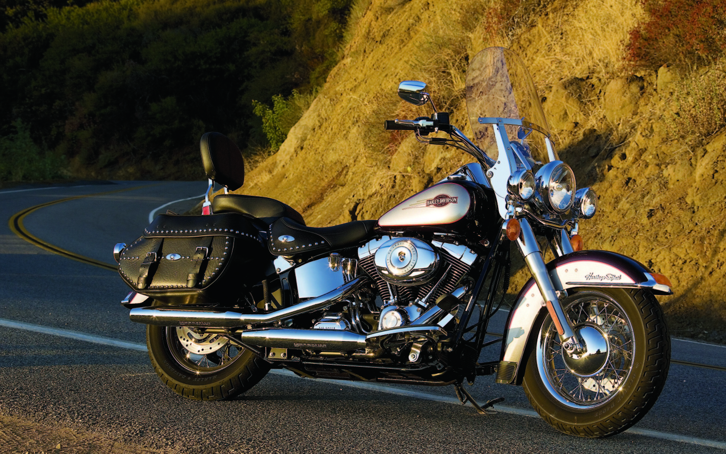 Невероятно быстрый мотоцикл Harley-Davidson Heritage Softail