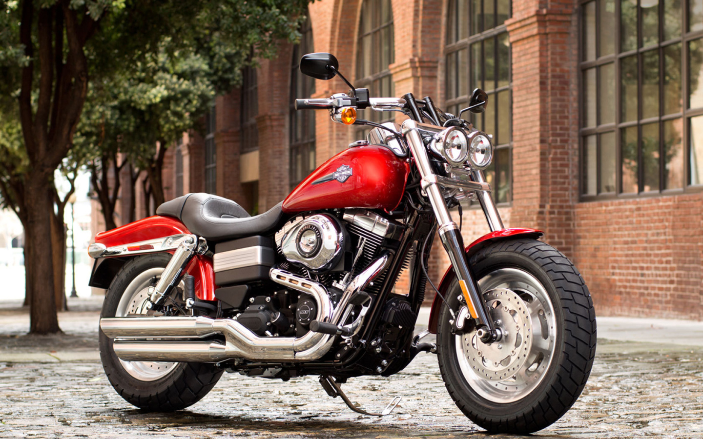Новый мотоцикл на дороге Harley-Davidson Dyna Fat Bob