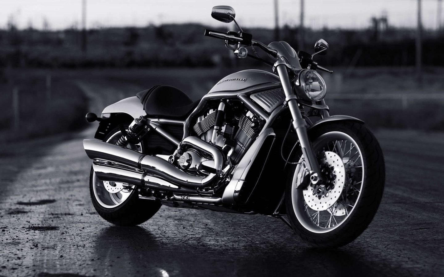 Новый надежный мотоцикл Harley-Davidson V-Rod Muscle