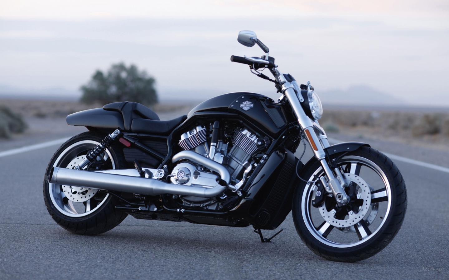 Популярный мотоцикл Harley-Davidson V-Rod Muscle