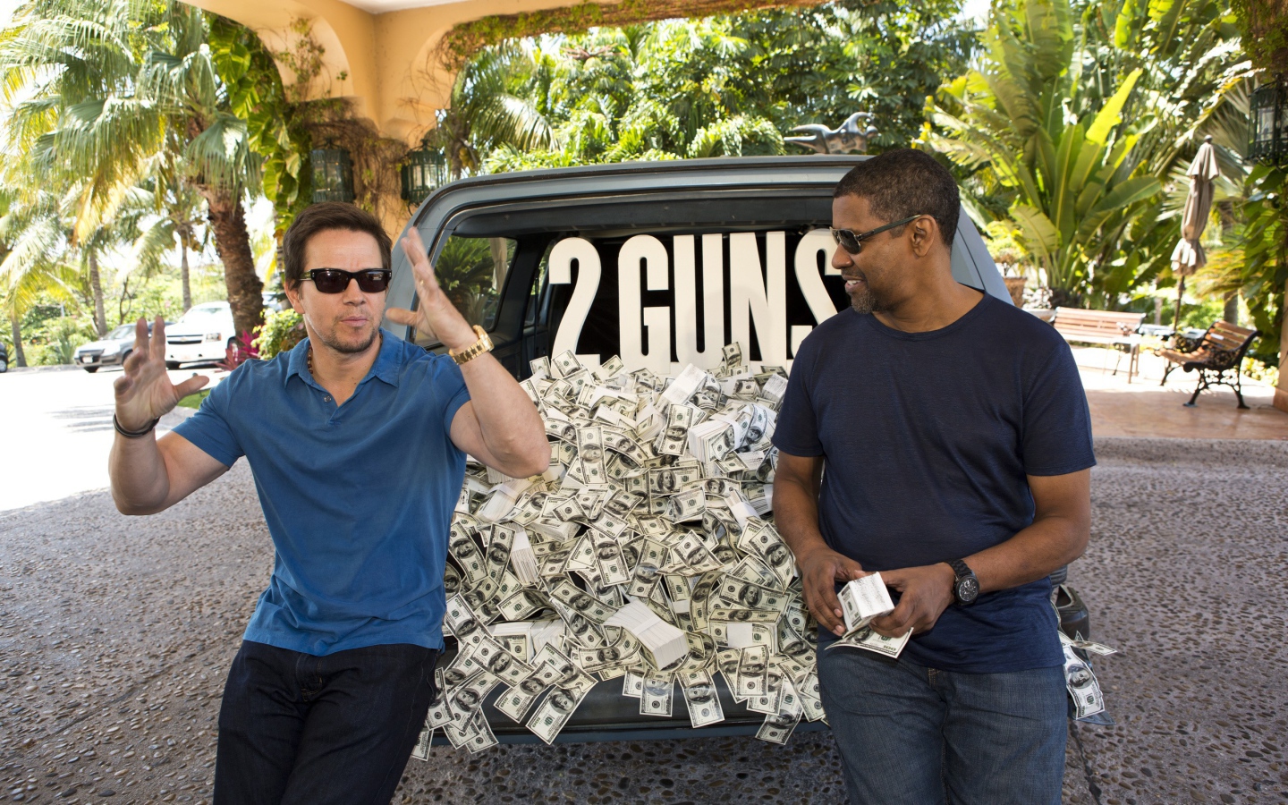 2 пушки и деньги