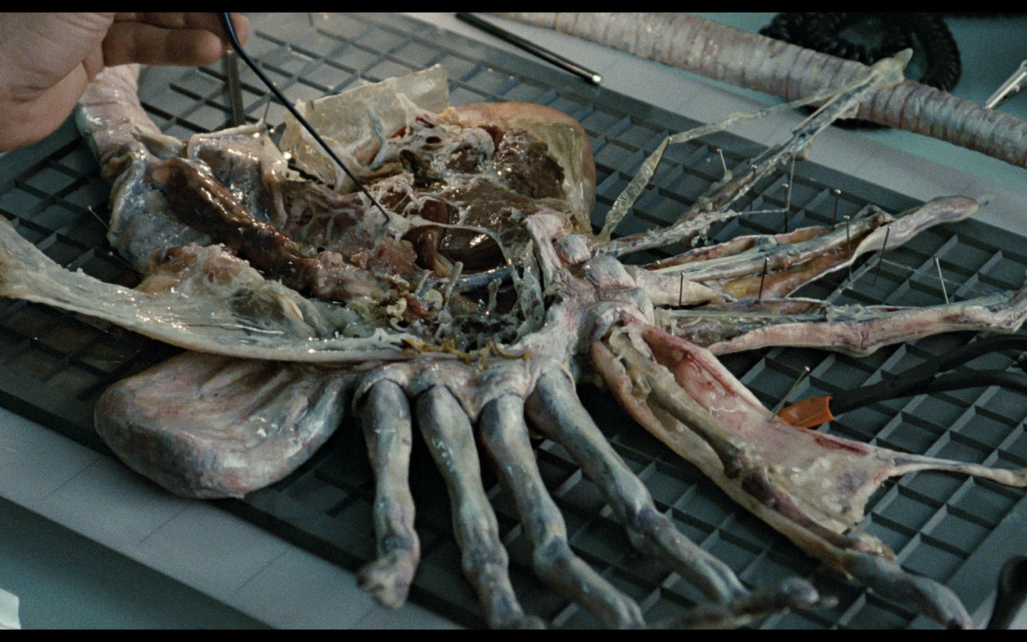 Кино 80-й пришелец