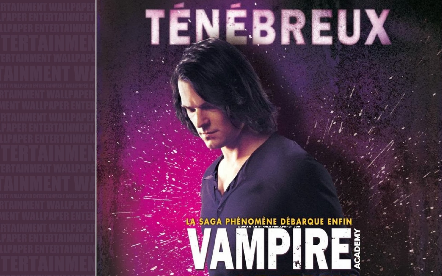 Интересный фильм Академия вампиров