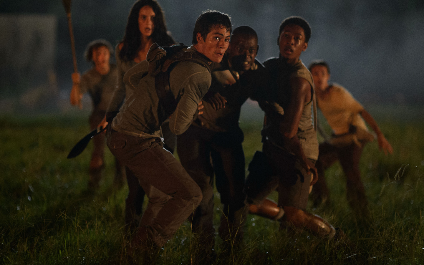 Бегущий по лабиринту на поле