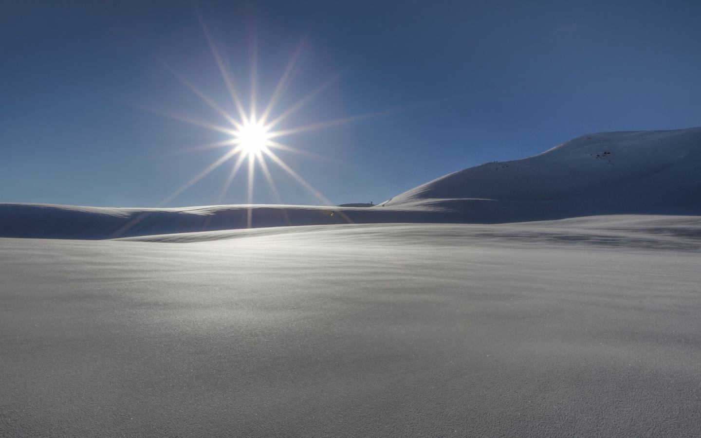 Звезда пустыни