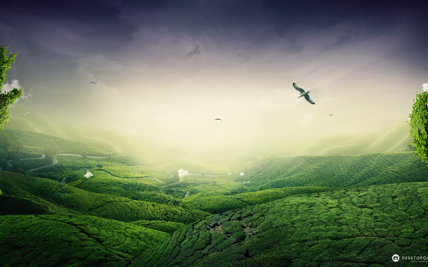 Зеленый пейзаж