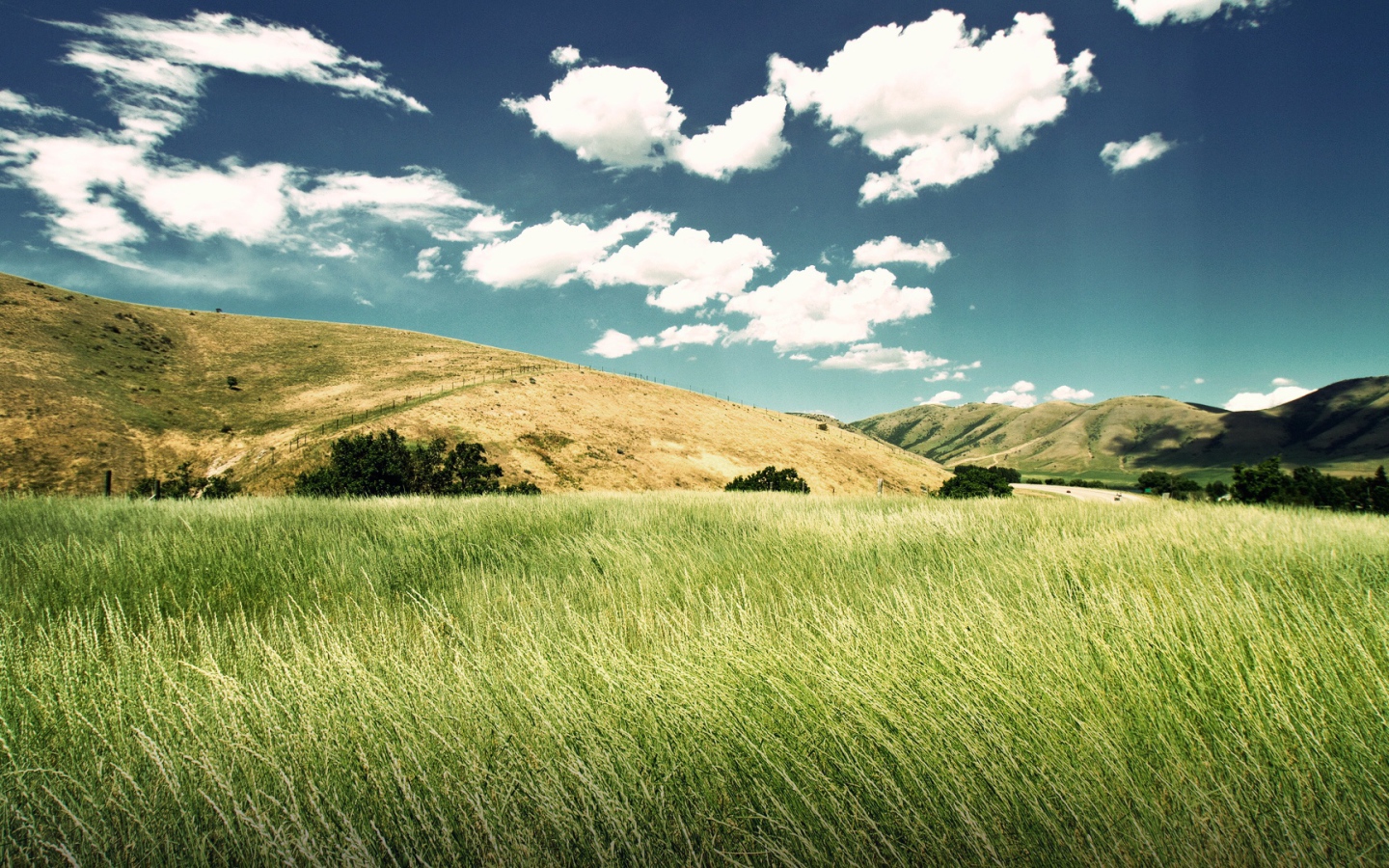 Зеленая долина