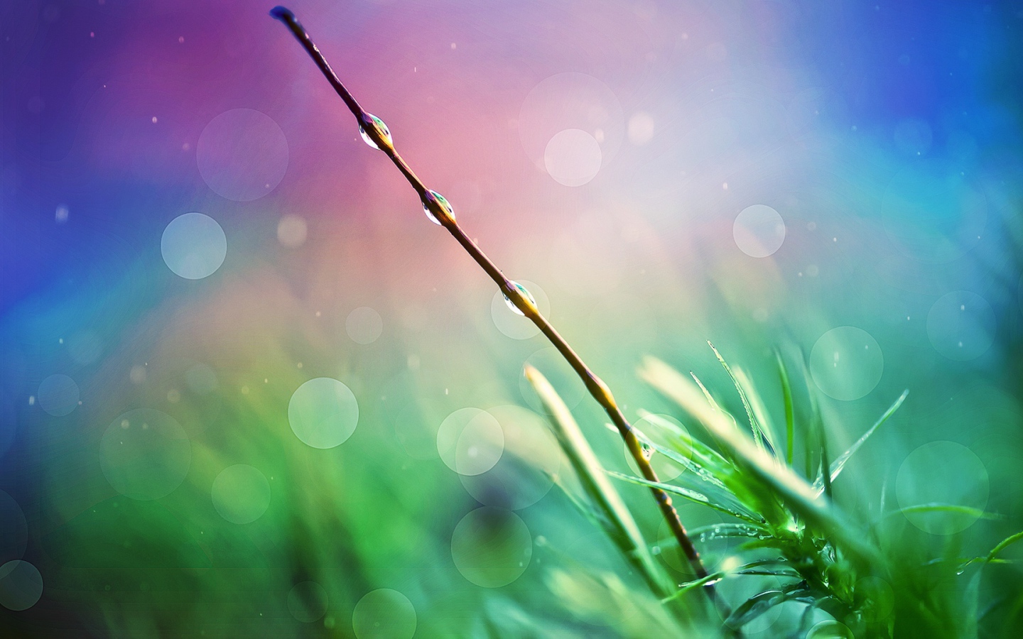 Природа