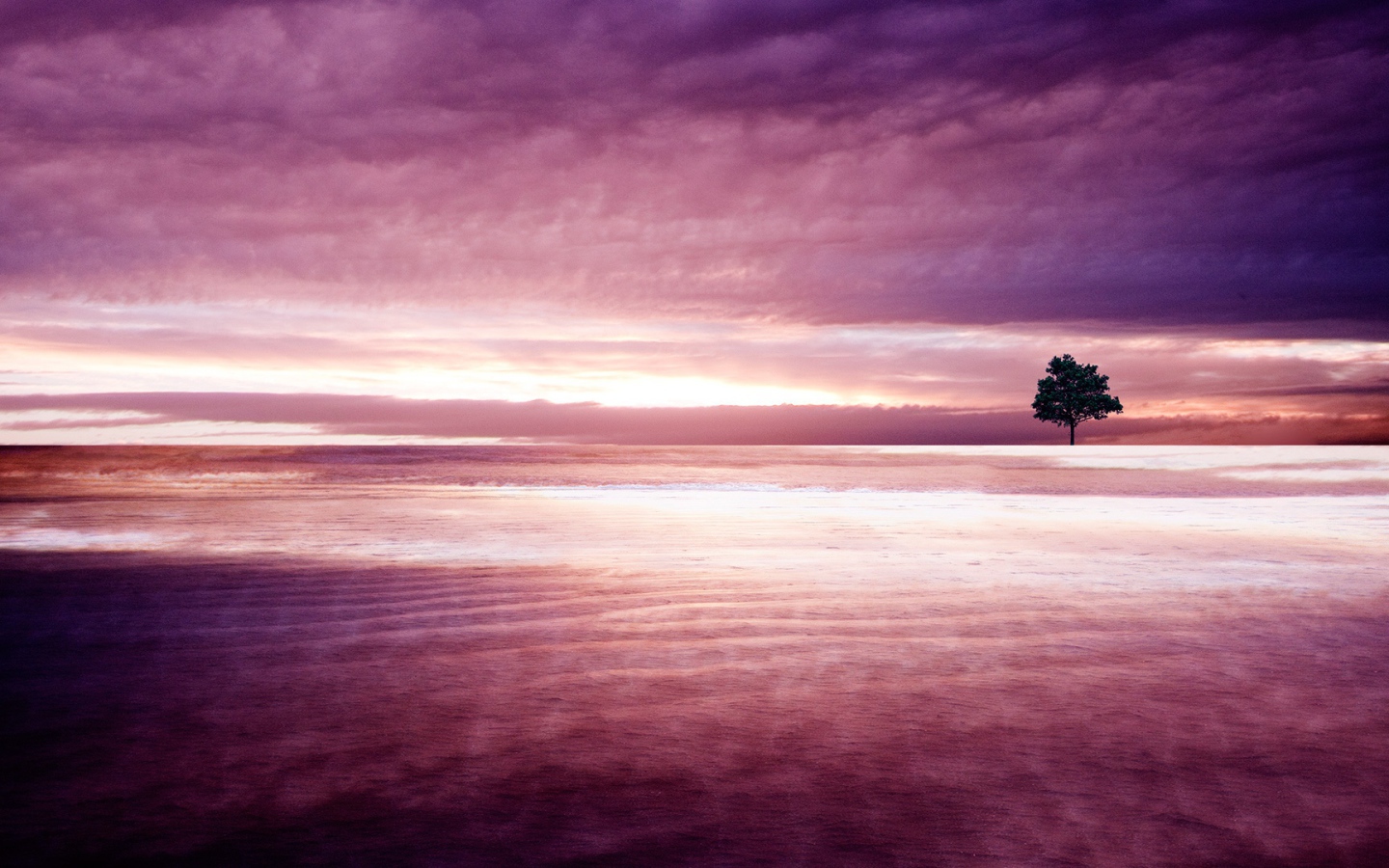 Фиолетовая природа 