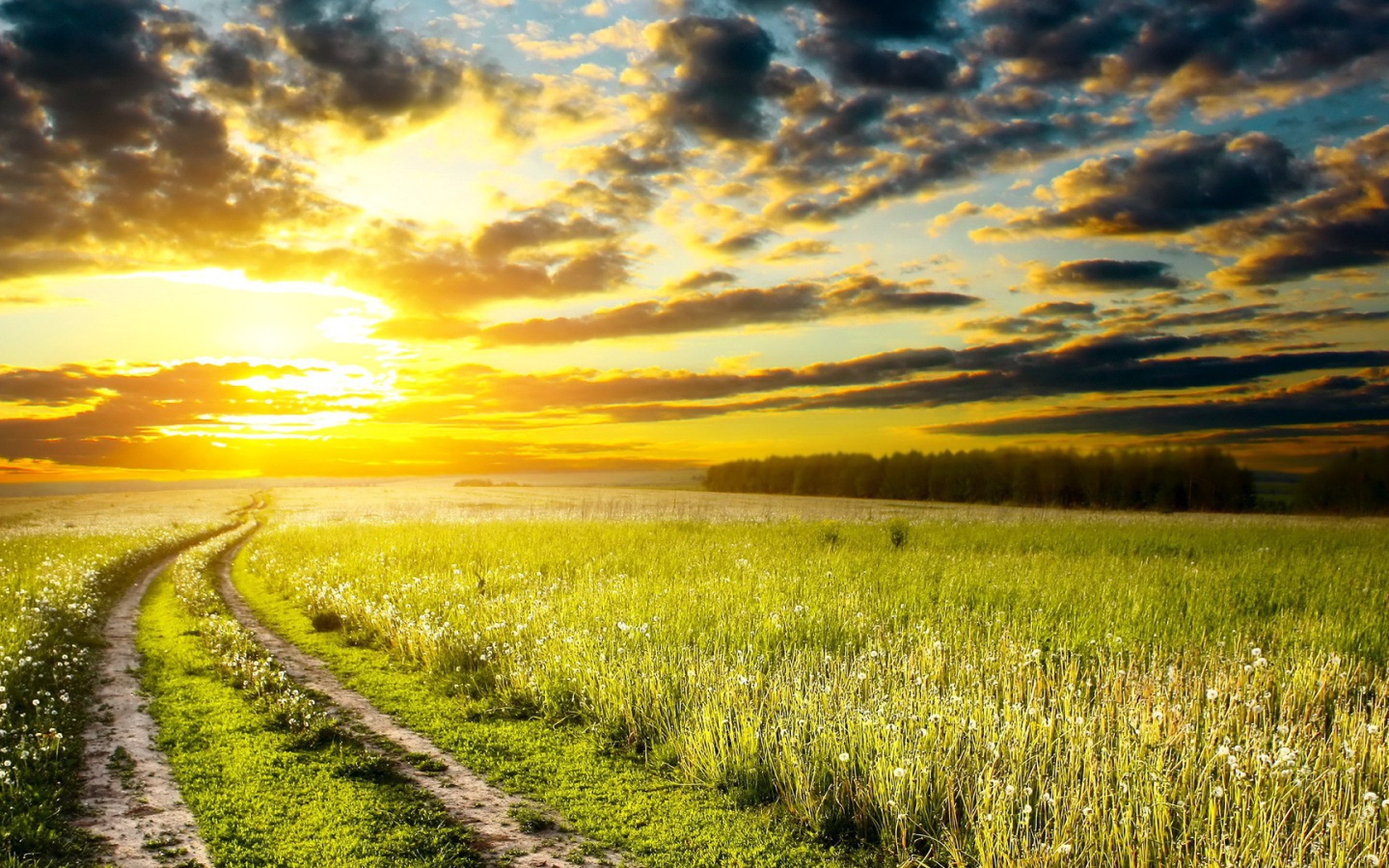 Дорога на закат