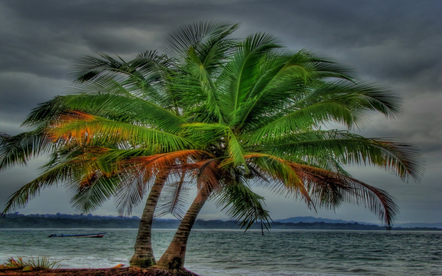 Два дерева на пляже