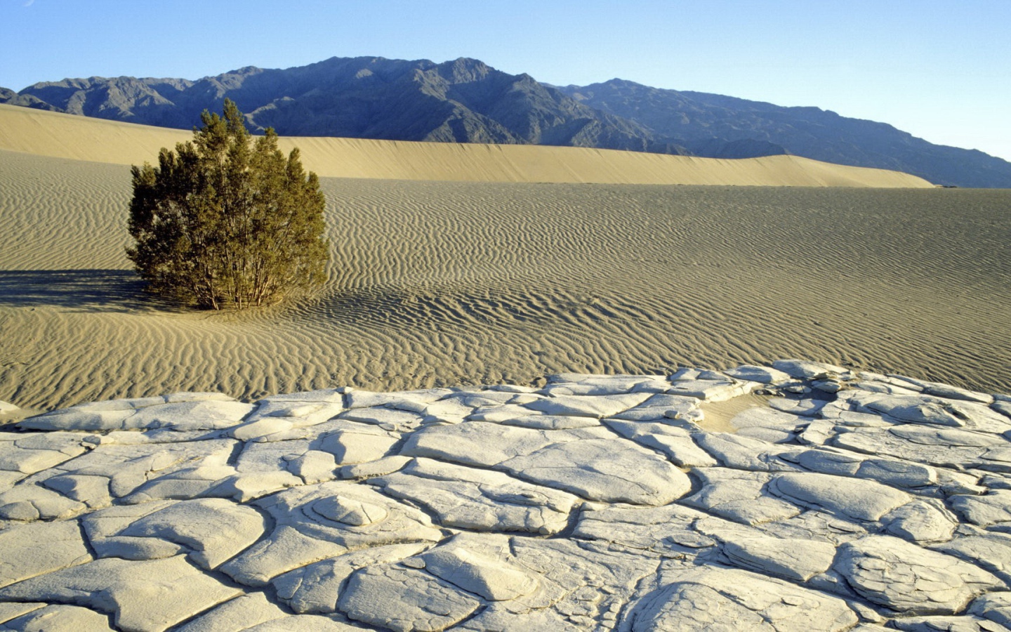 Пустынный пейзаж с горами