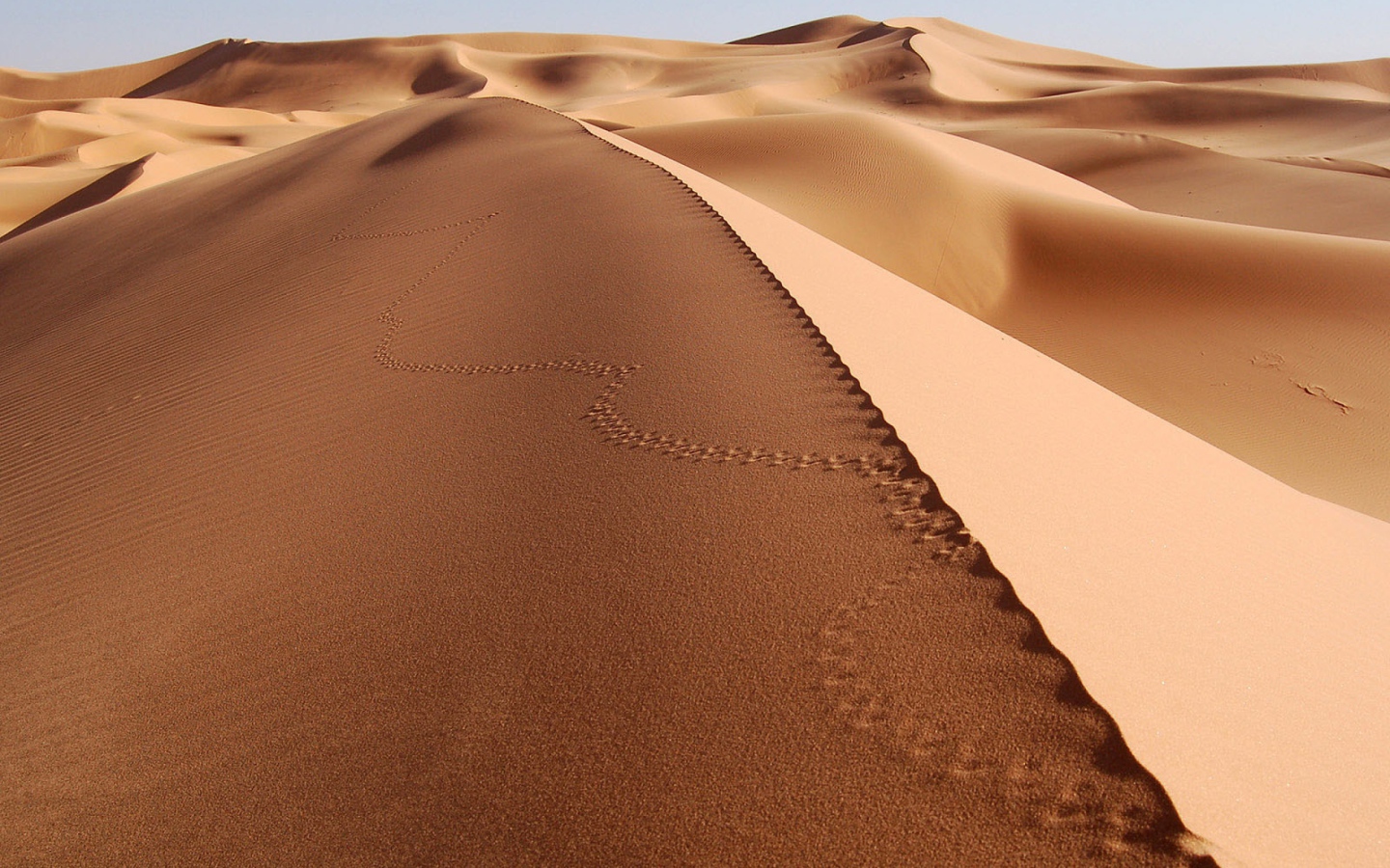 Следы на песке в пустыне